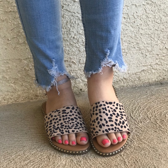 CHEETAH SLIDES - Picture 3 of 7